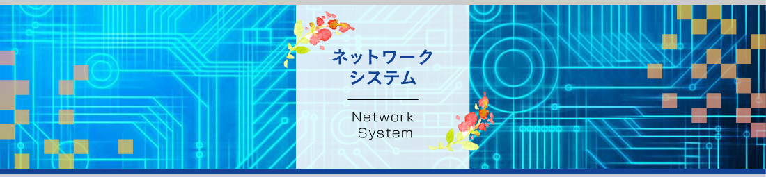 ネットワークシステム：NetworkSystem